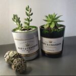 Exklusive Pflanzgefäße aus Moët & Chandon Champagnerflaschen